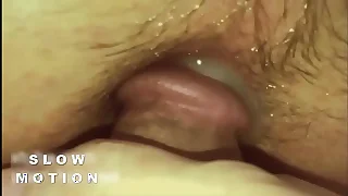 6164 bareback porn videos